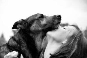 psychic love bonds with animals