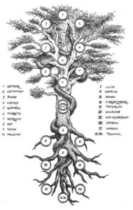 gnostic tree of life