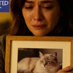 Cat Spirit After Death