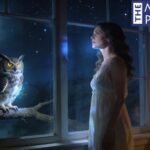 What Is the Spiritual Meaning of Seeing an Owl