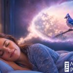 Dreaming of a Blue Jay